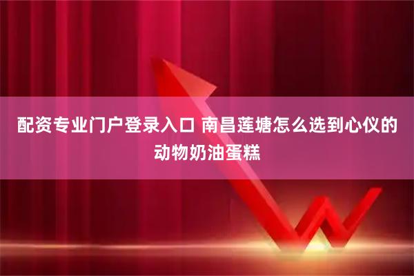 配资专业门户登录入口 南昌莲塘怎么选到心仪的动物奶油蛋糕
