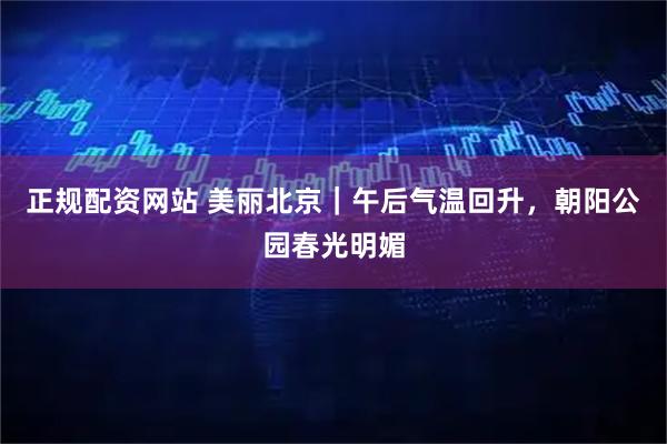正规配资网站 美丽北京｜午后气温回升，朝阳公园春光明媚